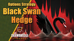 Option Trader's Black Swan Hedge Tracker